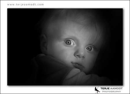 Oliver, Blog