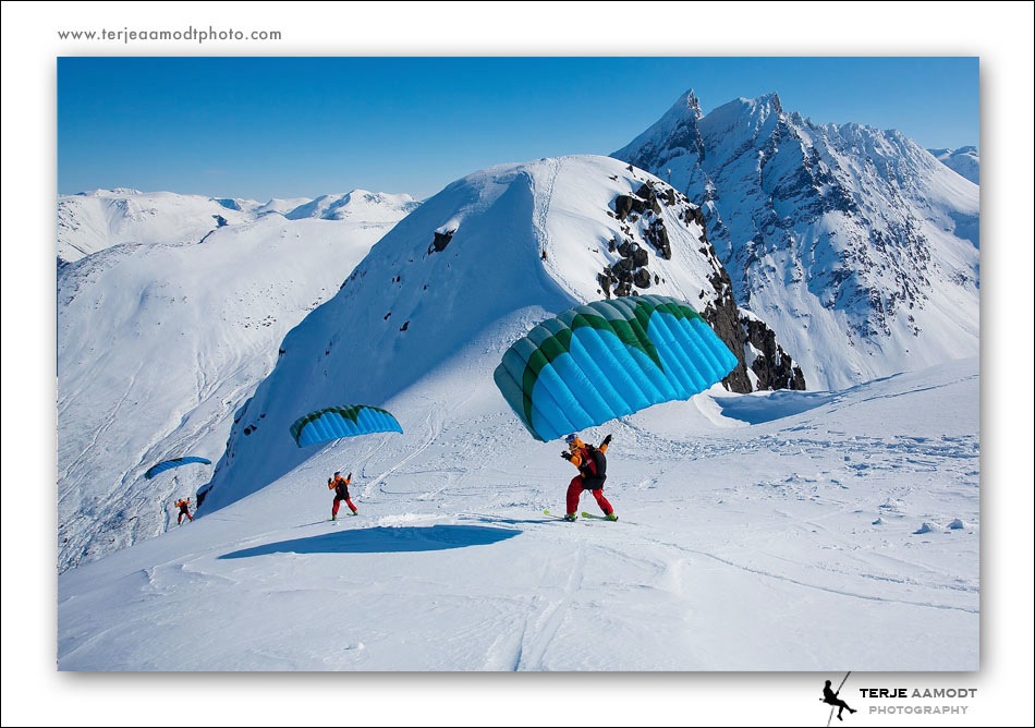 Blånebba blog 01.jpg