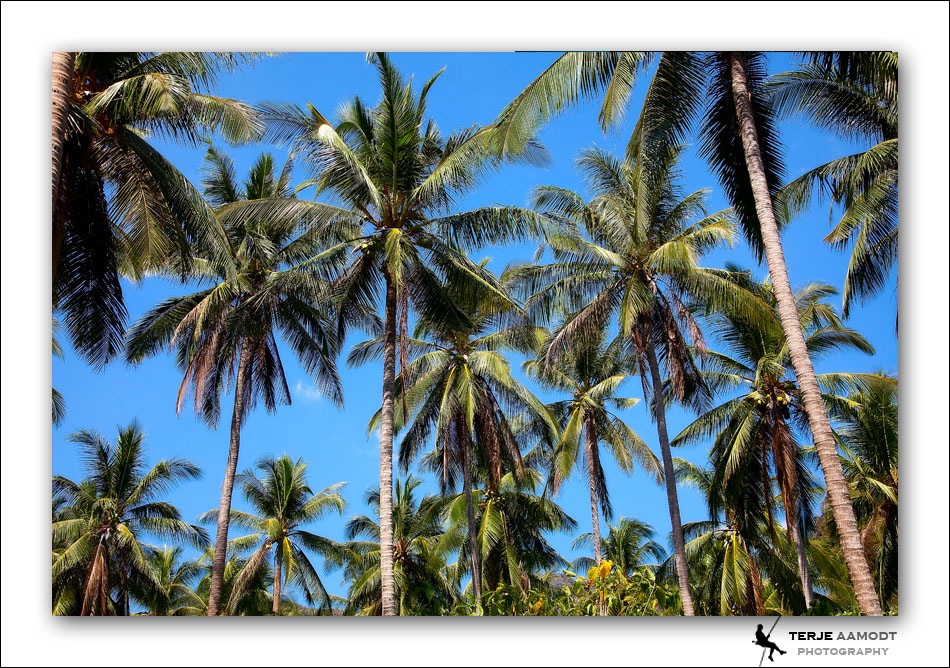 thailand blog 02.jpg