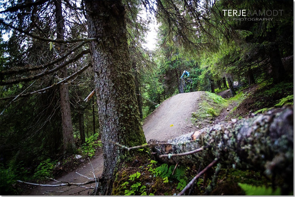 Downhill_are0008.JPG